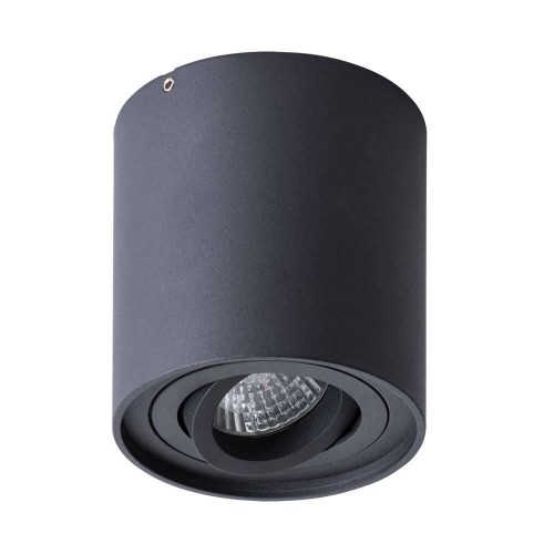 Потолочный светильник Arte Lamp Galopin A1460PL-1BK 