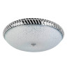 Накладной светильник Toplight Adrianna TL1462Y-05GC - Накладной светильник Toplight Adrianna TL1462Y-05GC
