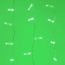Светодиодная гирлянда ARD-CURTAIN-CLASSIC-2000x3000-CLEAR-760LED Green (230V, 60W) (Ardecoled, IP65) - Светодиодная гирлянда ARD-CURTAIN-CLASSIC-2000x3000-CLEAR-760LED Green (230V, 60W) (Ardecoled, IP65)