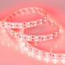 Лента RT 2-5000 24V Red 2x2 (5060, 600 LED, LUX) (Arlight, 26 Вт/м, IP20) - Лента RT 2-5000 24V Red 2x2 (5060, 600 LED, LUX) (Arlight, 26 Вт/м, IP20)