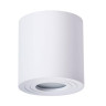 Потолочный светильник Arte Lamp Galopin A1460PL-1WH - Потолочный светильник Arte Lamp Galopin A1460PL-1WH