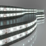 Светодиодная влагозащищенная лента Elektrostandard 4,8W/m 60LED/m 2835SMD холодный белый 5M 4690389167843 - Светодиодная влагозащищенная лента Elektrostandard 4,8W/m 60LED/m 2835SMD холодный белый 5M 4690389167843