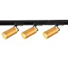 Трековый светильник Favourite Imago 4019-3U - Трековый светильник Favourite Imago 4019-3U