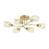 Потолочная люстра Lumion Lacie 4536/6C - Потолочная люстра Lumion Lacie 4536/6C