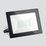 Прожектор светодиодный Elektrostandard Elementary 032 FL LED 100W 6500K IP65 4690389167218 - Прожектор светодиодный Elektrostandard Elementary 032 FL LED 100W 6500K IP65 4690389167218