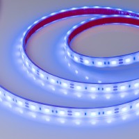  - Лента RTW 2-5000PGS 12V Blue 2x (5060, 300 LED, LUX) (Arlight, 14.4 Вт/м, IP67)