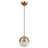 Подвесной светильник Odeon Light Pinga 4960/1 - Подвесной светильник Odeon Light Pinga 4960/1