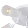 Потолочная люстра Vitaluce V3762-0/5PL - Потолочная люстра Vitaluce V3762-0/5PL