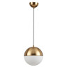 Подвесной светильник Odeon Light Pinga 4960/1A - Подвесной светильник Odeon Light Pinga 4960/1A