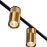 Подвесная люстра Indigo Liberta 11014/4P Gold V000148 - Подвесная люстра Indigo Liberta 11014/4P Gold V000148