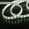 Светодиодная влагозащищенная лента Elektrostandard 8W/m 60LED/m 2835SMD холодный белый 50M 4690389170959 - Светодиодная влагозащищенная лента Elektrostandard 8W/m 60LED/m 2835SMD холодный белый 50M 4690389170959