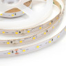 Светодиодная лента Apeyron 12W/m 60LED/m 2835SMD холодный белый 5M 00-335 - Светодиодная лента Apeyron 12W/m 60LED/m 2835SMD холодный белый 5M 00-335