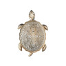 Настенный светодиодный светильник Favourite Turtle 2256-1W - Настенный светодиодный светильник Favourite Turtle 2256-1W