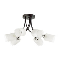  - Потолочная люстра Lumion Paula 4533/6C