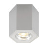 Потолочный светильник Zumaline Polygon cl r 20077-AL - Потолочный светильник Zumaline Polygon cl r 20077-AL