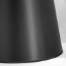 Торшер Lussole Topgrade LSP-0596 - Торшер Lussole Topgrade LSP-0596
