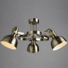 Потолочная люстра Arte Lamp Martin A5216PL-3AB - Потолочная люстра Arte Lamp Martin A5216PL-3AB