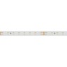 Лента RTW 2-5000PS-50m 24V Warm2700 (2835, 80 LED/m, LUX) (Arlight, 6 Вт/м, IP67) - Лента RTW 2-5000PS-50m 24V Warm2700 (2835, 80 LED/m, LUX) (Arlight, 6 Вт/м, IP67)