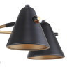 Потолочная люстра F-Promo Rigor 2844-5P - Потолочная люстра F-Promo Rigor 2844-5P