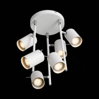  - Потолочная светодиодная люстра ST Luce Fanale SL597.502.06