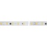 Лента ARL-50000PV-5060-54-230V Warm3000 (15mm, 8W, IP65) (Arlight, 8 Вт/м, IP65) - Лента ARL-50000PV-5060-54-230V Warm3000 (15mm, 8W, IP65) (Arlight, 8 Вт/м, IP65)