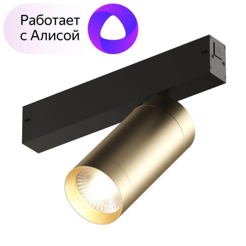Трековый светодиодный светильник Denkirs Smart Spot DK8020-BG 