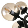 Подвесная люстра Arte Lamp A1664SP-25BK - Подвесная люстра Arte Lamp A1664SP-25BK