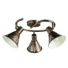 Спот Arte Lamp Cono A5218PL-3BR - Спот Arte Lamp Cono A5218PL-3BR