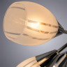 Потолочная люстра Arte Lamp Penny A2701PL-9CC - Потолочная люстра Arte Lamp Penny A2701PL-9CC