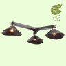 Потолочная люстра Lussole Loft Opelika GRLSP-9534 - Потолочная люстра Lussole Loft Opelika GRLSP-9534