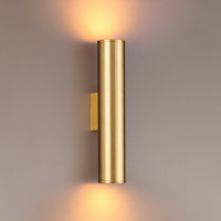 - Настенный светодиодный светильник Odeon Light Dario 3833/2WA