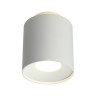 Потолочный светодиодный светильник Omnilux Torino OML-100309-16 - Потолочный светодиодный светильник Omnilux Torino OML-100309-16