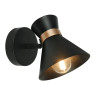 Спот Arte Lamp Baltimore A1406AP-1BK - Спот Arte Lamp Baltimore A1406AP-1BK