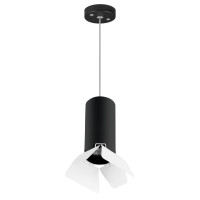  - Подвесной светильник Lightstar Rullo (214487+590057+202436) RP487436