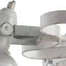 Потолочная люстра Arte Lamp Martin A5216PL-5WG - Потолочная люстра Arte Lamp Martin A5216PL-5WG