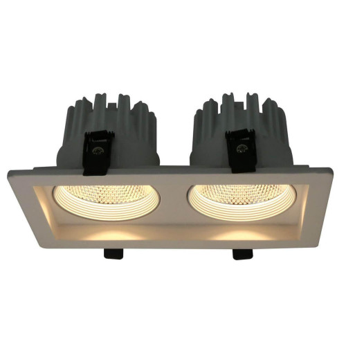 Встраиваемый светодиодный светильник Arte Lamp Privato A7007PL-2WH 