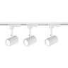 Трековый светильник Favourite Imago 4024-3U - Трековый светильник Favourite Imago 4024-3U