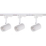 Трековый светильник Favourite Imago 4024-3U - Трековый светильник Favourite Imago 4024-3U