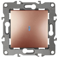  - Выключатель одноклавишный с подсветкой ЭРА 12 10AX 250V 12-1102-14 Б0019282