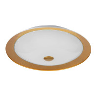  - Потолочный светильник Maytoni Euler CL815-PT50-G