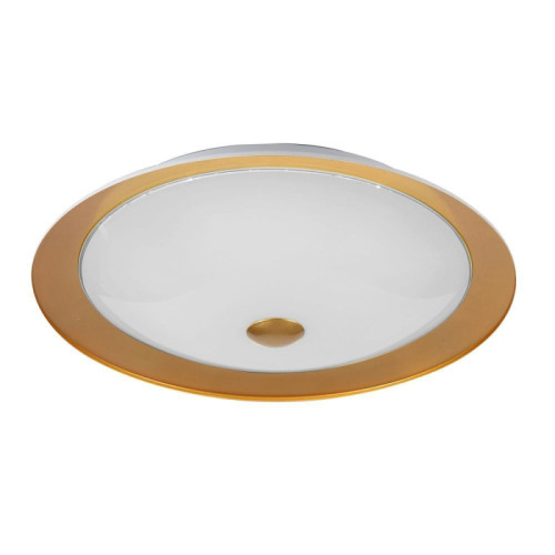 Потолочный светильник Maytoni Euler CL815-PT50-G 
