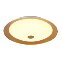  - Потолочный светильник Maytoni Euler CL815-PT50-G