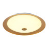 Потолочный светильник Maytoni Euler CL815-PT50-G - Потолочный светильник Maytoni Euler CL815-PT50-G
