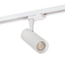 Трековый светильник Denkirs DK6204-WH - Трековый светильник Denkirs DK6204-WH