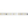 Лента герметичная ARL-PV-B54-15.5mm 230V Warm3000 (8 W/m, IP65, 5060, 10m) (Arlight, -) - Лента герметичная ARL-PV-B54-15.5mm 230V Warm3000 (8 W/m, IP65, 5060, 10m) (Arlight, -)