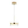 Подвесной светодиодный светильник Odeon Light Akela 4729/14L - Подвесной светодиодный светильник Odeon Light Akela 4729/14L