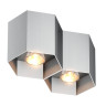 Потолочный светильник Zumaline Polygon cl2 20036-AL - Потолочный светильник Zumaline Polygon cl2 20036-AL