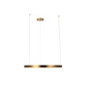 Подвесной светодиодный светильник Loft IT Ring 10013L - Подвесной светодиодный светильник Loft IT Ring 10013L
