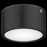 Уличный светодиодный светильник Lightstar Zolla 380173 - Уличный светодиодный светильник Lightstar Zolla 380173