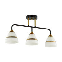  - Потолочная люстра Lumion Nettie 5214/3CA